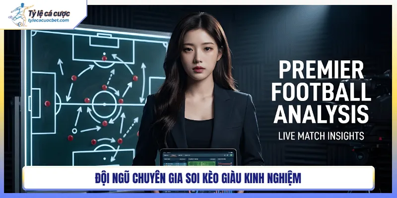 Đội ngũ chuyên gia soi kèo giàu kinh nghiệm